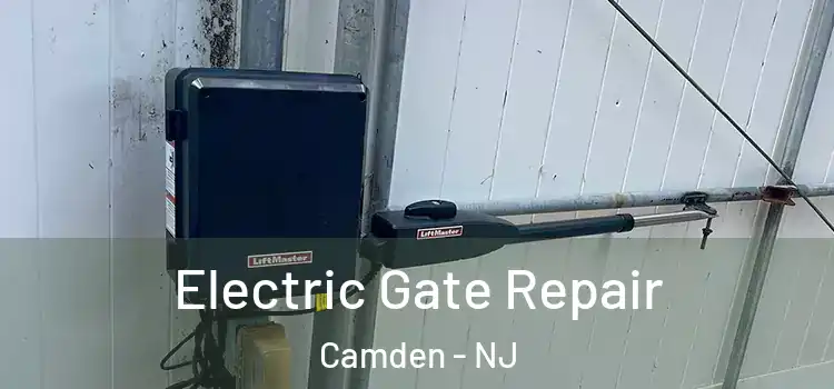 Electric Gate Repair Camden - NJ